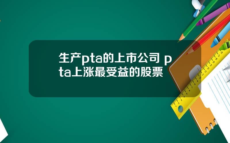 生产pta的上市公司 pta上涨最受益的股票